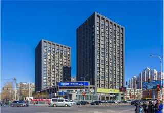 广东绿萝吸水绳哪家便宜